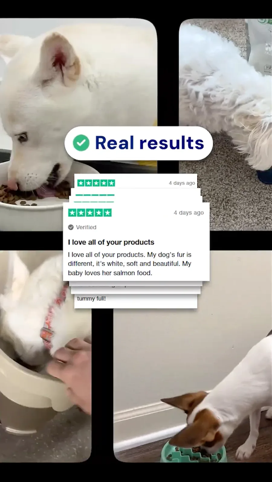 Dog Food Voiceover Video Ad — ad creative for SuperiorCarePet